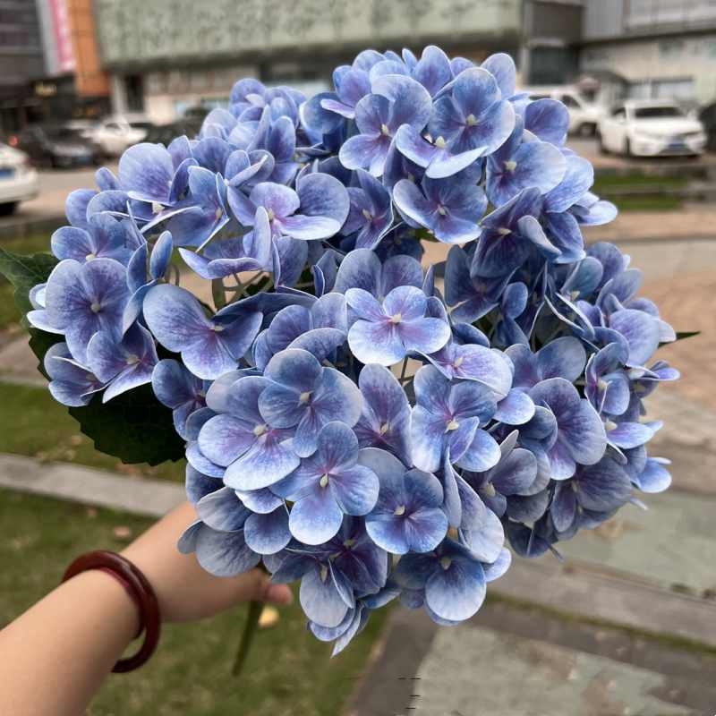 Soft-touch film hydrangea