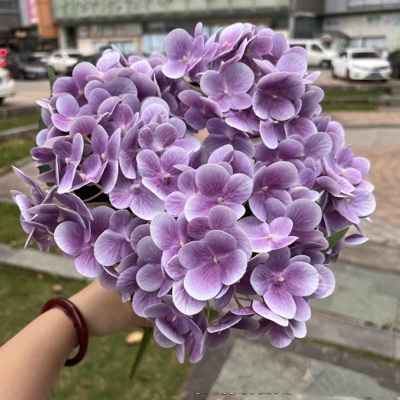Soft-touch film hydrangea
