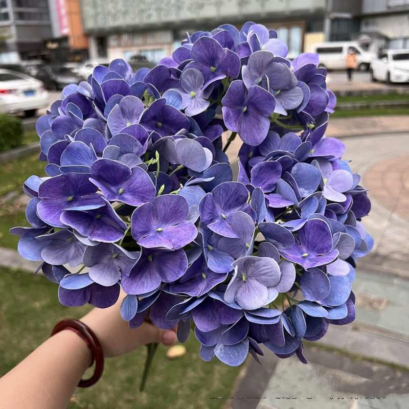 Soft-touch film hydrangea