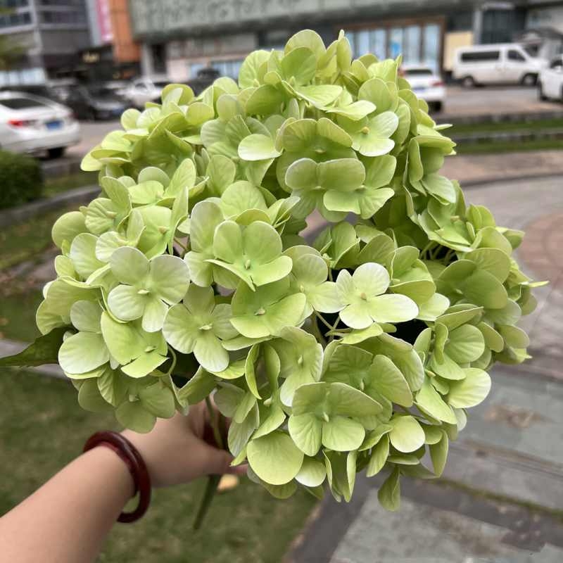 Soft-touch film hydrangea