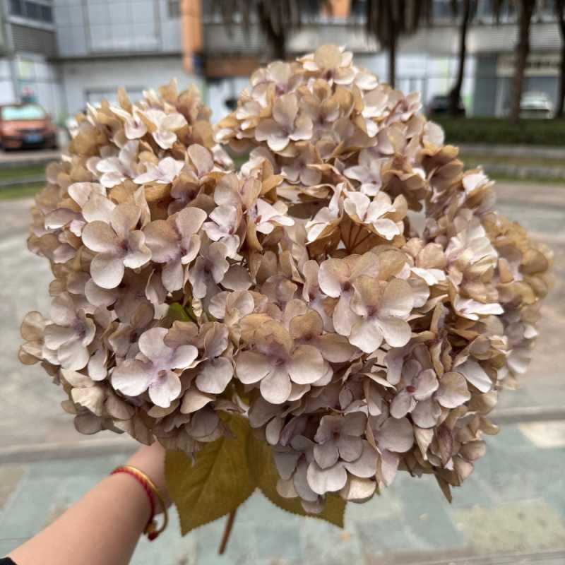 Silk hydrangea with 5 flower heads