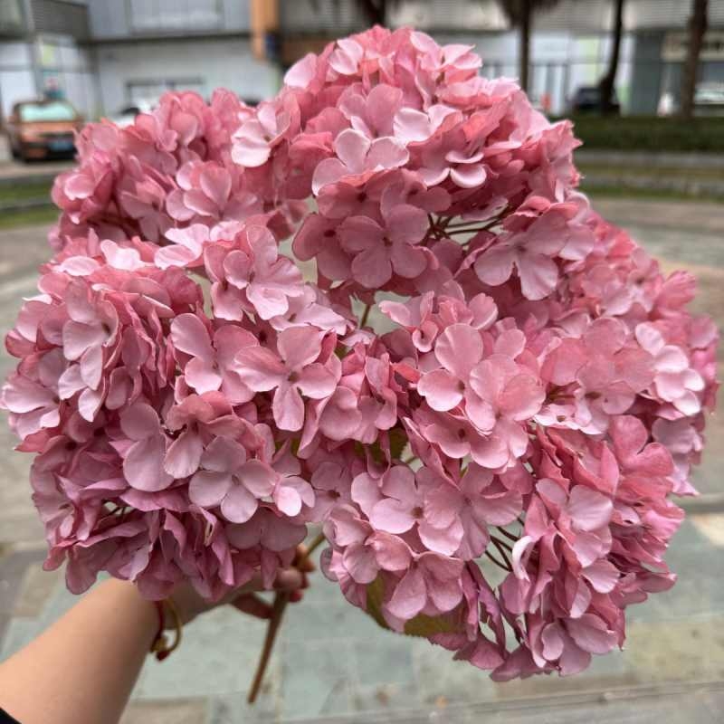 Silk hydrangea with 5 flower heads