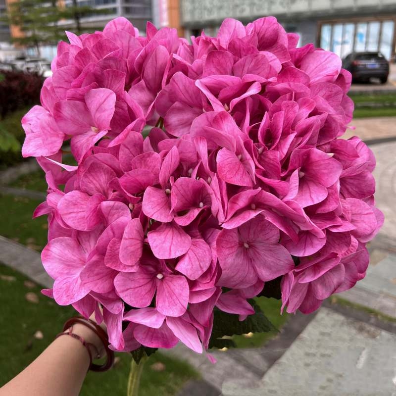 Wholesale artificial hydrangea with 5 flower heads