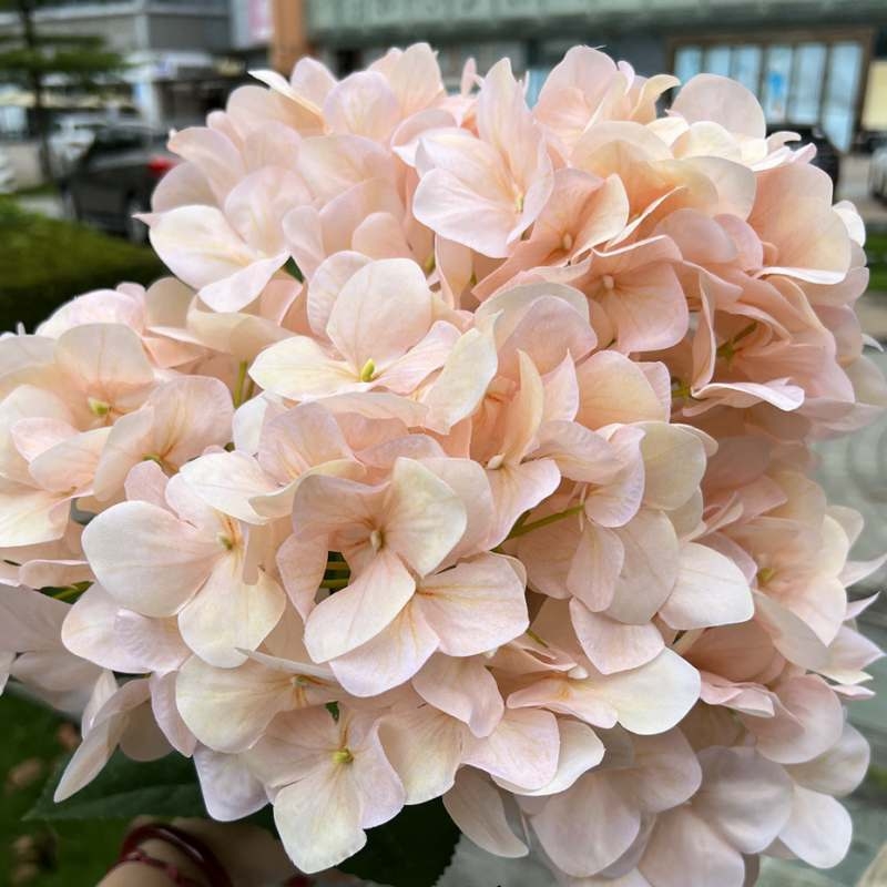 Wholesale artificial hydrangea with 5 flower heads