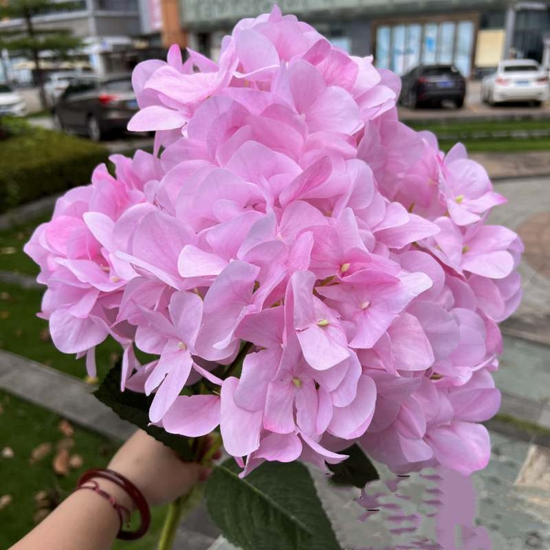 Wholesale artificial hydrangea with 5 flower heads