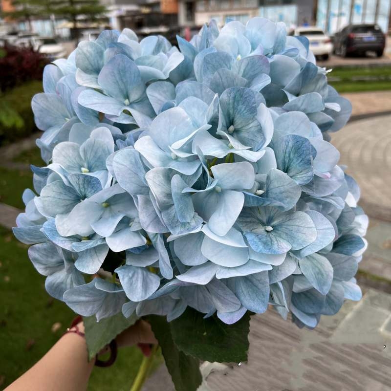 Wholesale artificial hydrangea with 5 flower heads