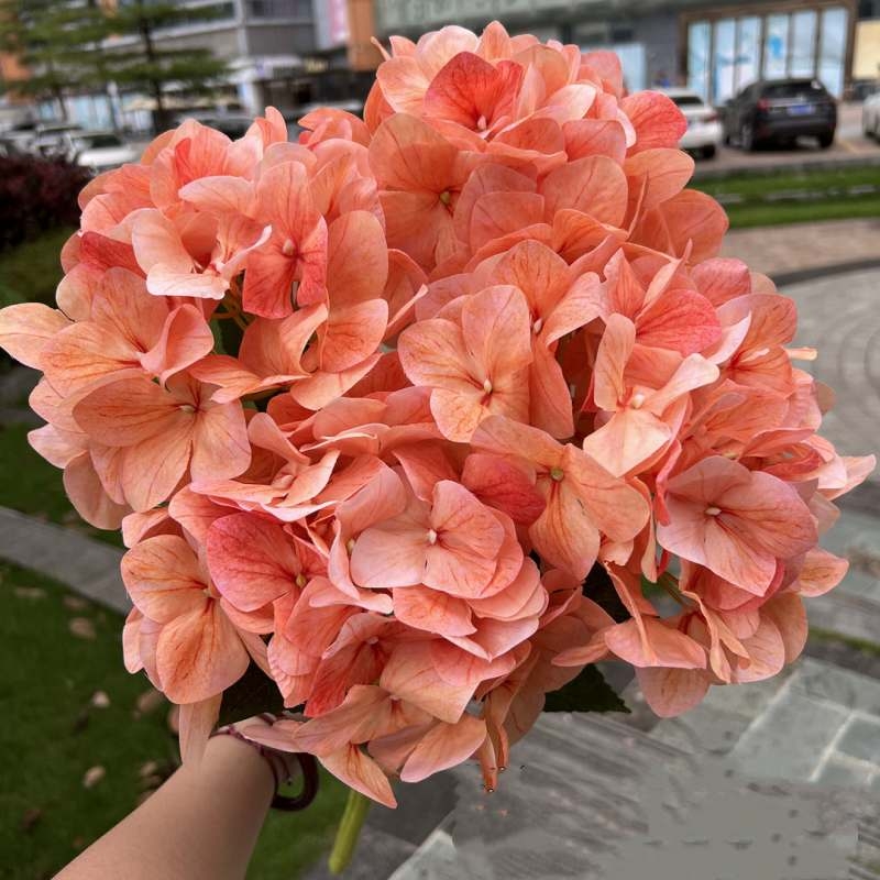 Wholesale artificial hydrangea with 5 flower heads