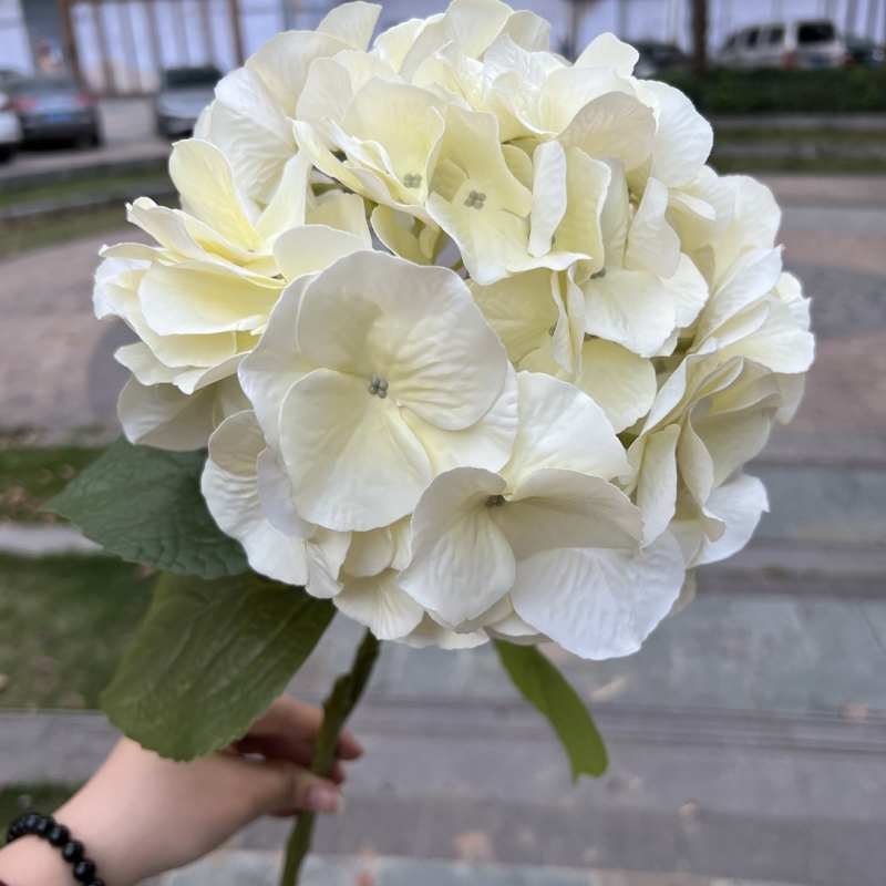 Soft-touch Plastic hydrangea