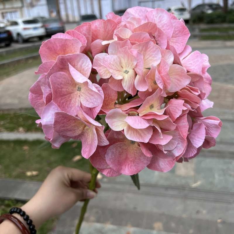 Soft-touch Plastic hydrangea