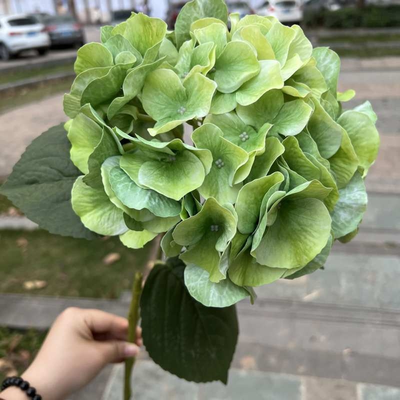 Soft-touch Plastic hydrangea