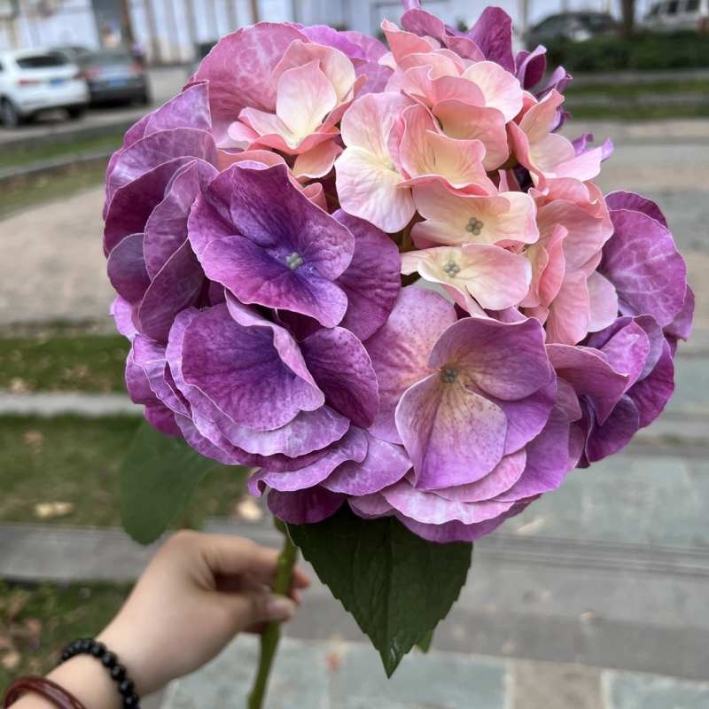 Soft-touch Plastic hydrangea