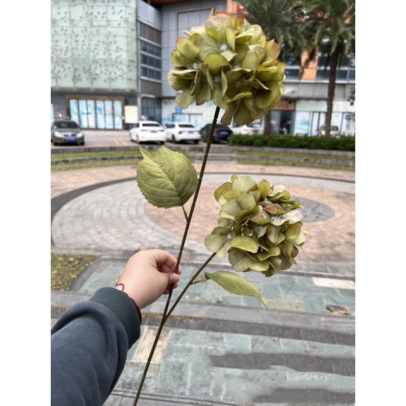Silk hydrangea with two flowers
