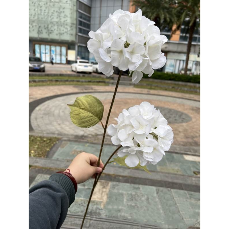 Silk hydrangea with two flowers
