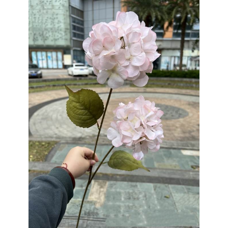 Silk hydrangea with two flowers