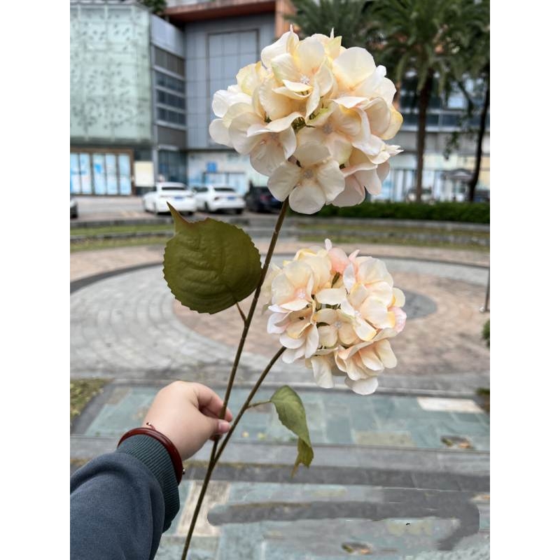 Silk hydrangea with two flowers