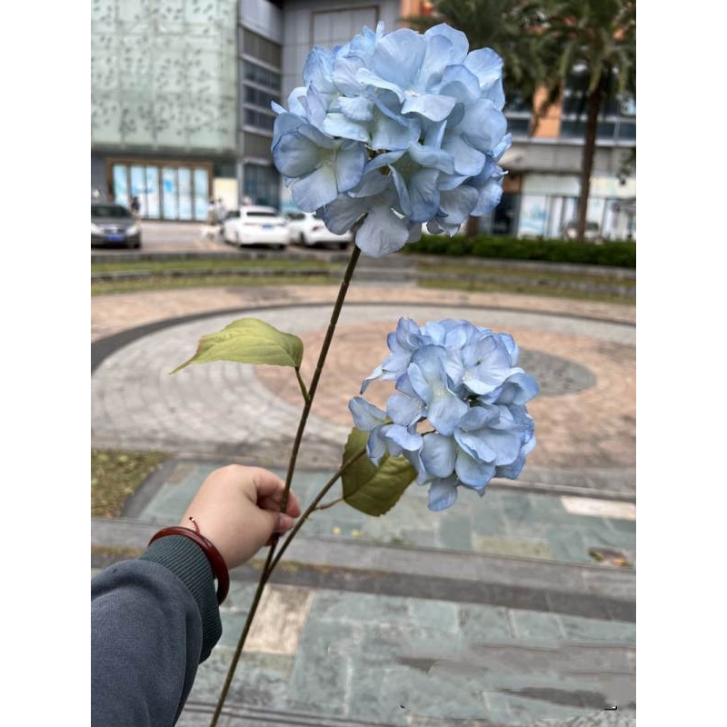 Silk hydrangea with two flowers