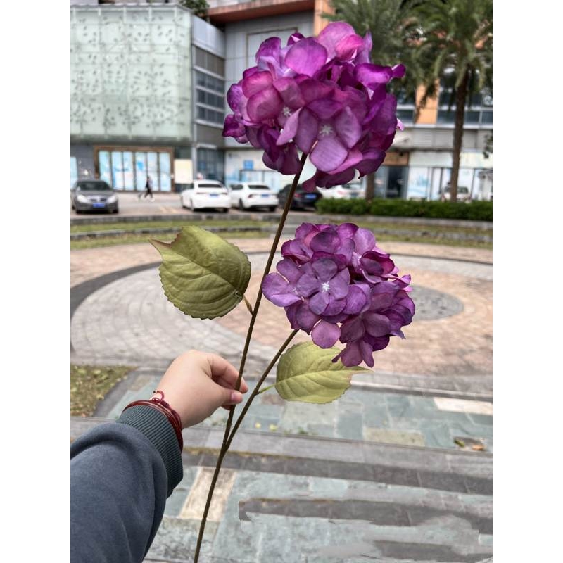 Silk hydrangea with two flowers