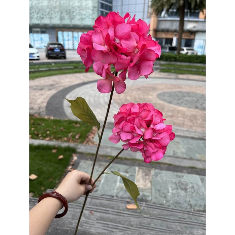 Silk hydrangea with two flowers