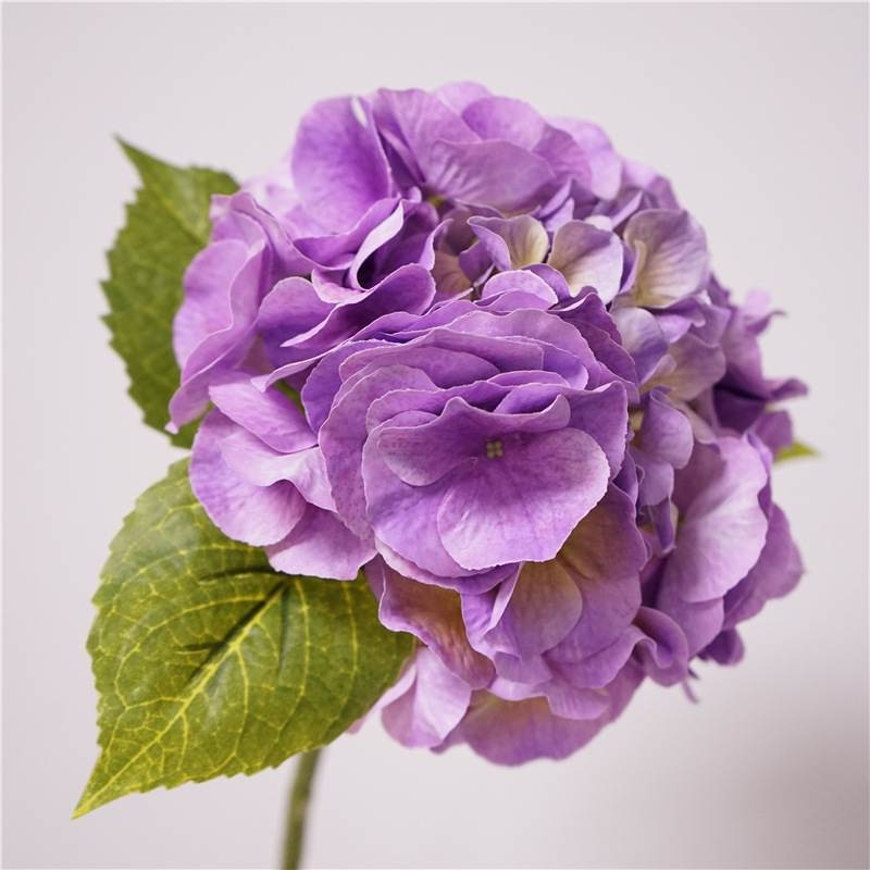Wholesale high-quality hydrangea flowers