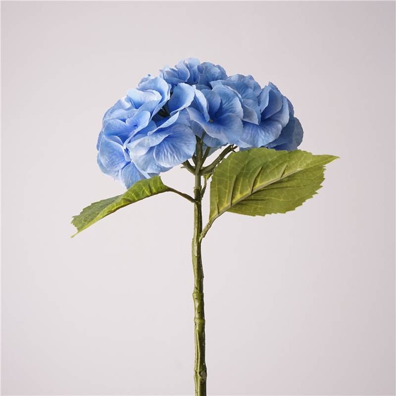 Wholesale high-quality hydrangea flowers