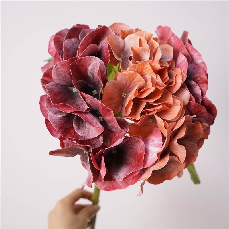 Wholesale high-quality hydrangea flowers