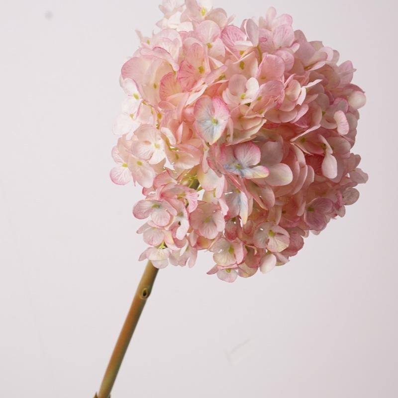 Simulated Dutch hydrangea