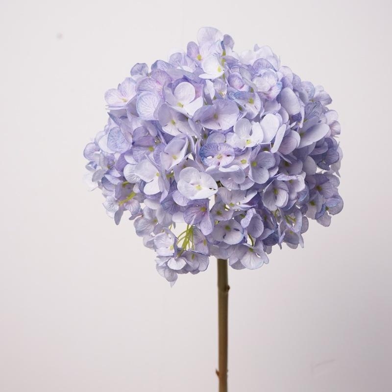 Simulated Dutch hydrangea