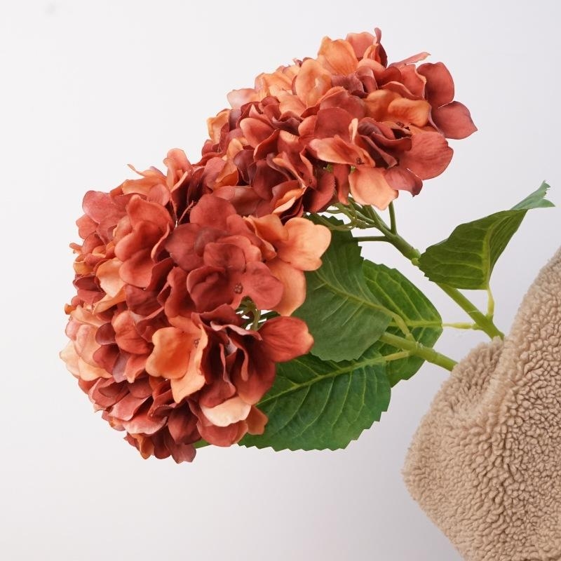 Moisturizing hand feel Hydrangea flowers