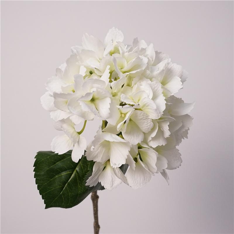Hydrangea flowers for decoration