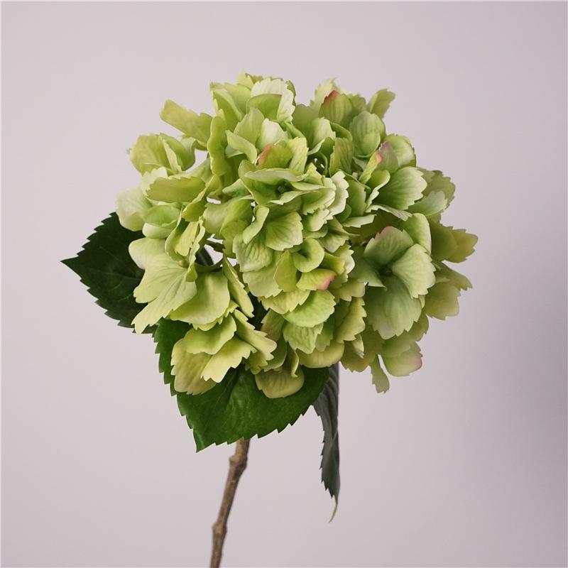 Hydrangea flowers for decoration