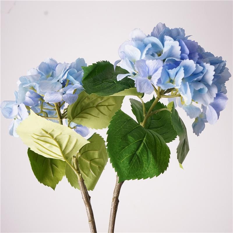 Hydrangea flowers for decoration