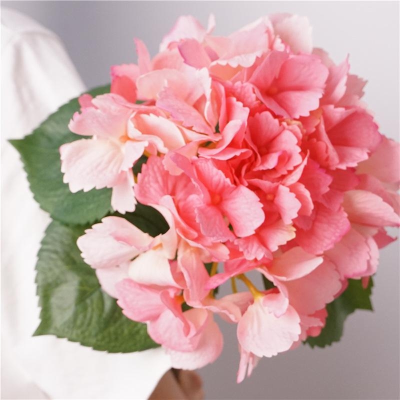 Hydrangea flowers for decoration