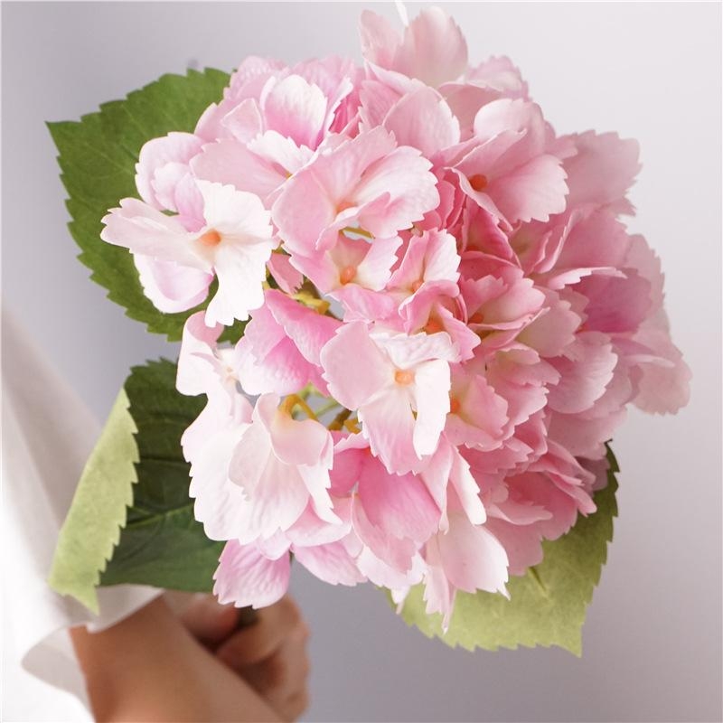 Hydrangea flowers for decoration