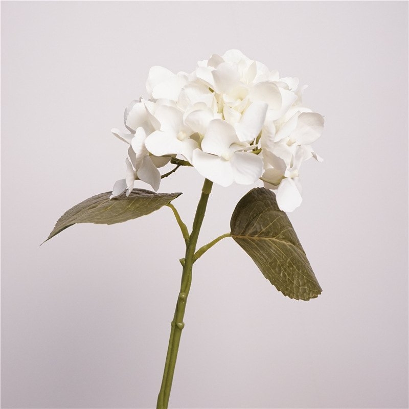 Moisturizing Hawaiian Hydrangea