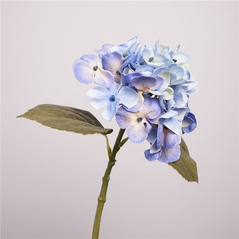 Moisturizing Hawaiian Hydrangea