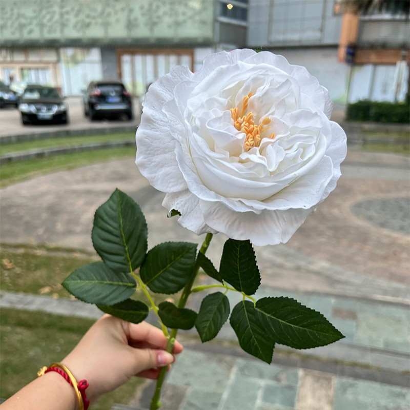 Wholesale of moisturizing roses with a soft feel