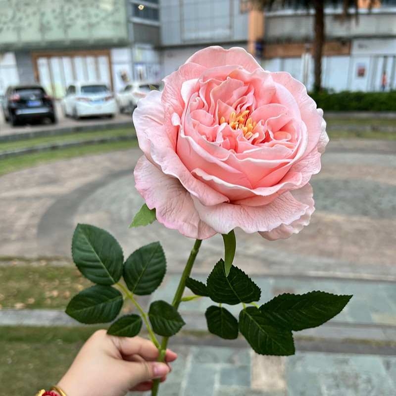 Wholesale of moisturizing roses with a soft feel