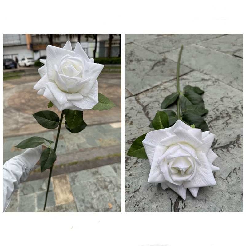 Moisturizing rose with curled edge