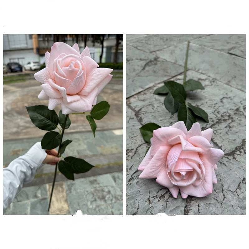 Moisturizing rose with curled edge