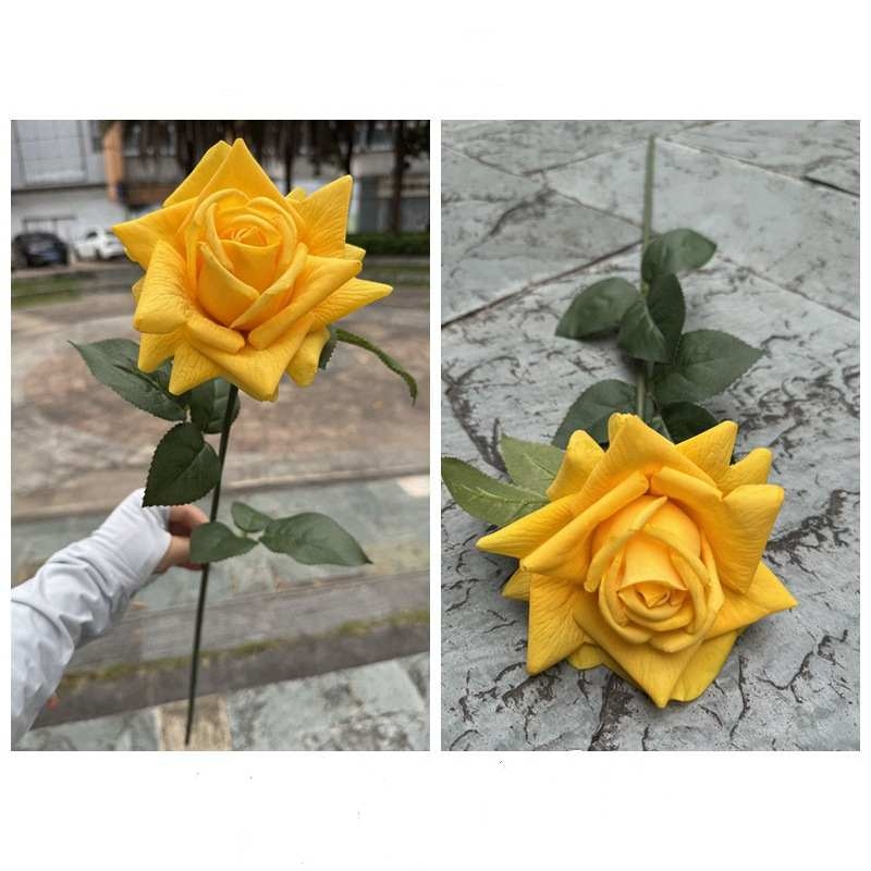 Moisturizing rose with curled edge