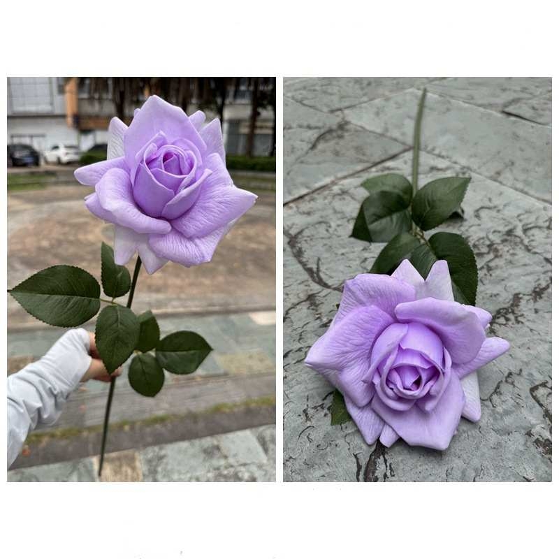 Moisturizing rose with curled edge