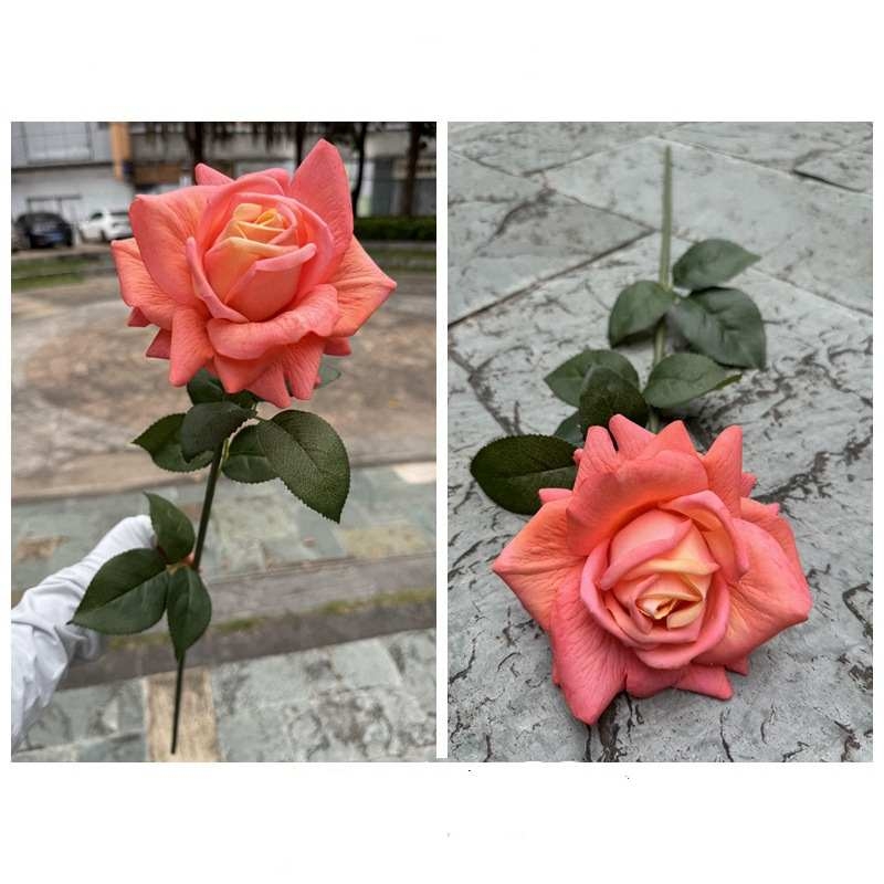 Moisturizing rose with curled edge