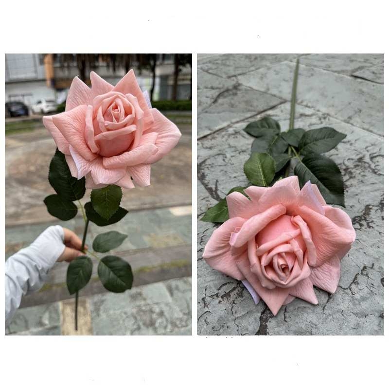 Moisturizing rose with curled edge