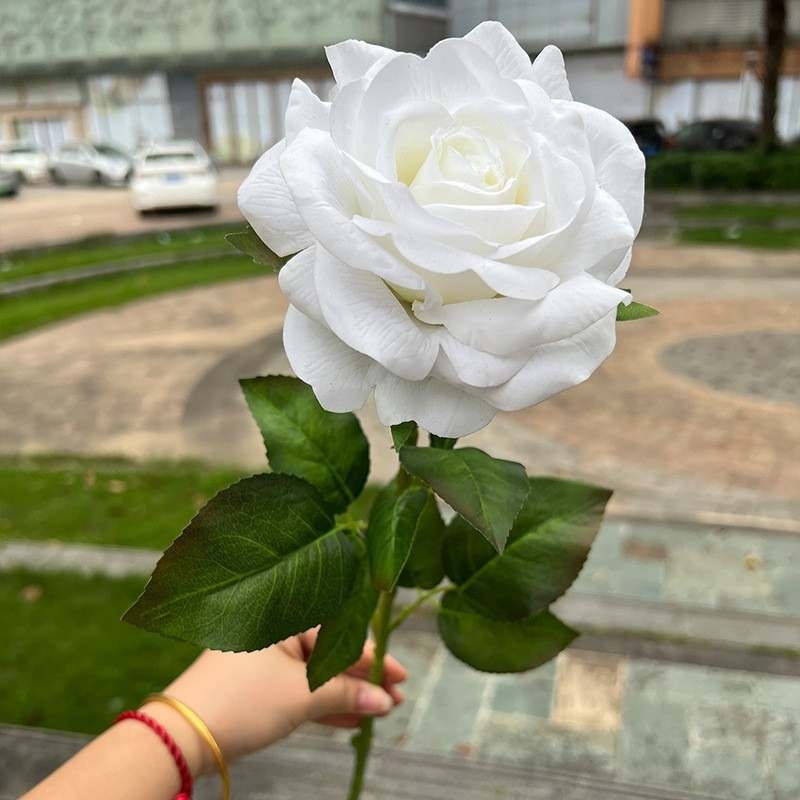 High-end moisturizing roses