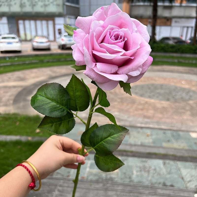 High-end moisturizing roses
