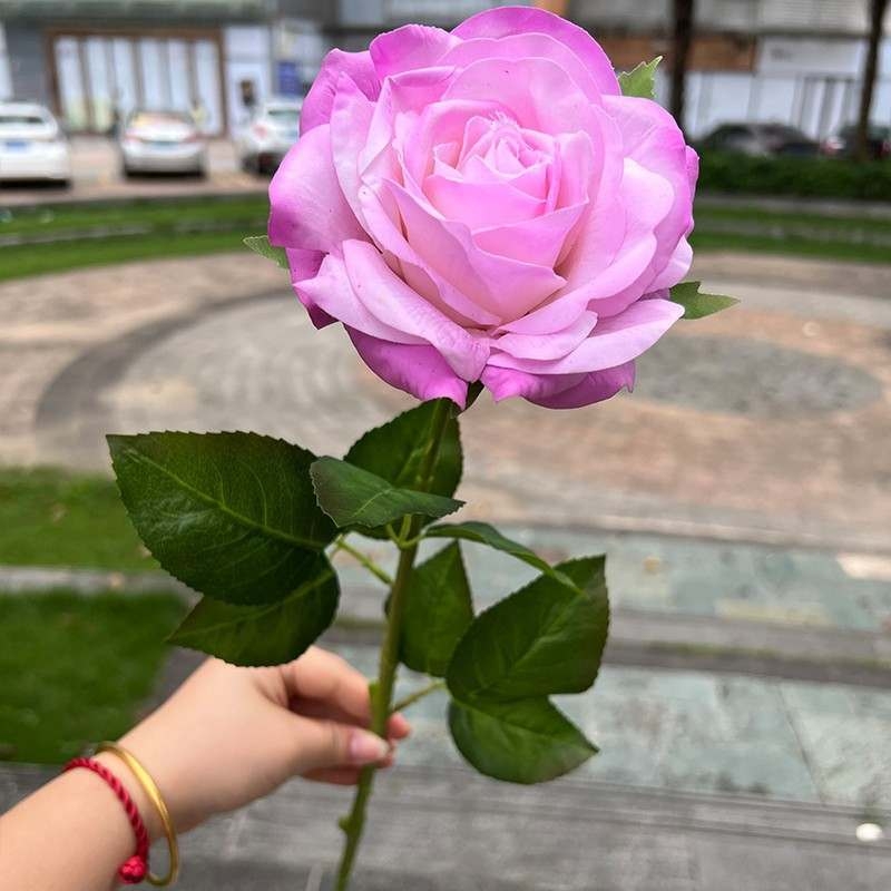 High-end moisturizing roses