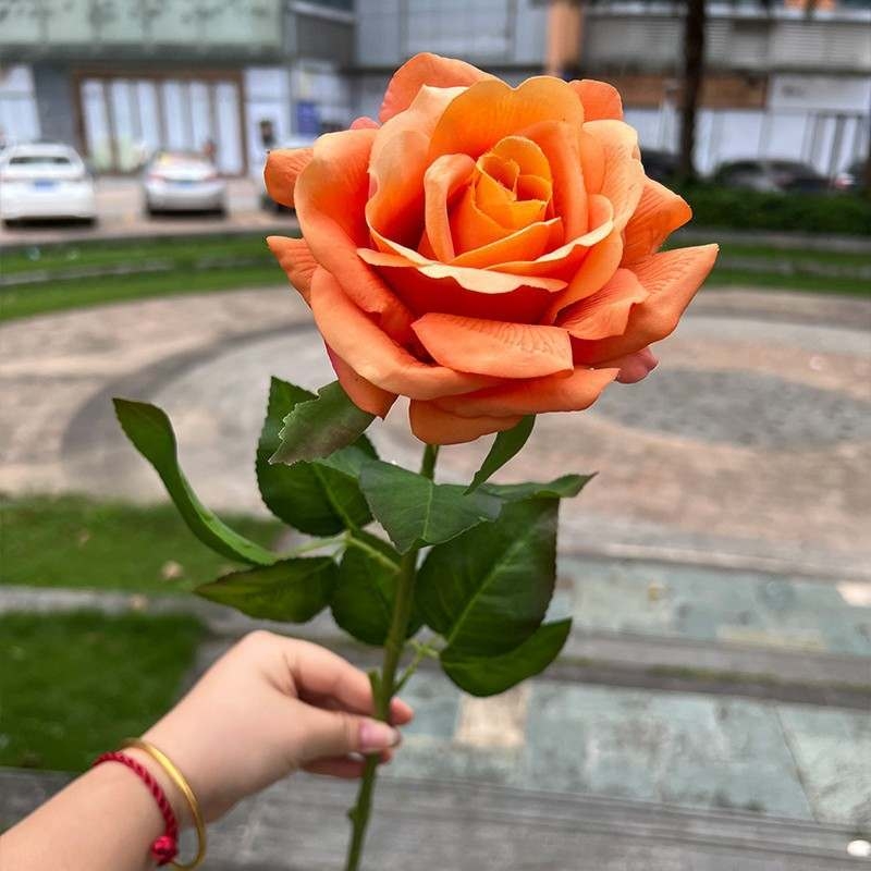 High-end moisturizing roses