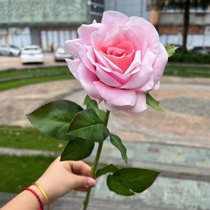 High-end moisturizing roses