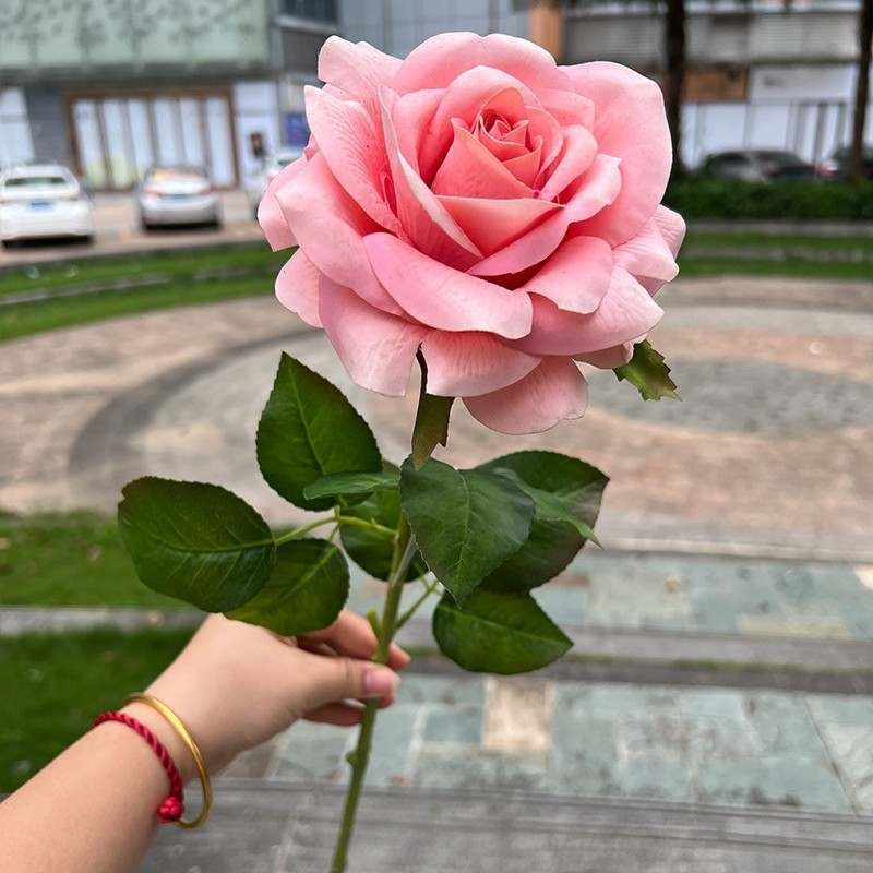 High-end moisturizing roses