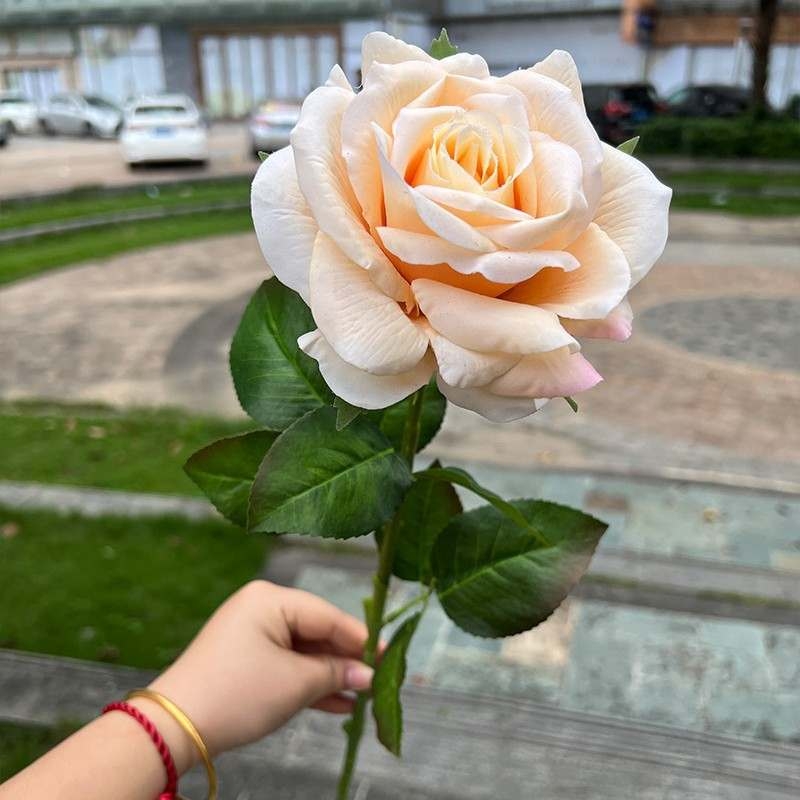 High-end moisturizing roses